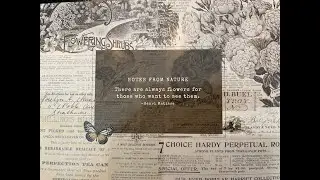 Archer and Olive March 2024 Notes From Nature Subscription Box