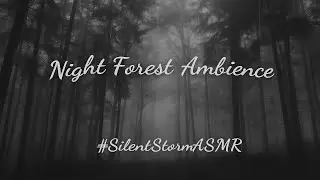 Rain Echoes in the Hidden Forest &ndash; Gentle ASMR Ambience for Peaceful Nights #SilentStormASMR