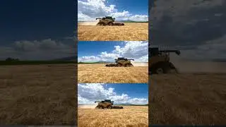 Journey of the Malt - Part 1 - Harvest