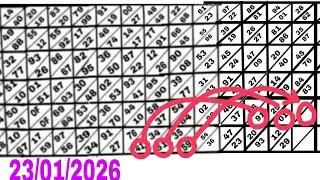 DIRECT 84 X 83 SUCCESSFUL SHILLONG TEER 23/01/2026 common number best house ending line