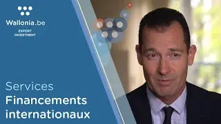 Les financements internationaux