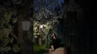Вечером - А. Ахматова #original #singing #вокал #авторскаяпесня #голос