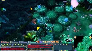 Polypore Dungeon in NXT Client