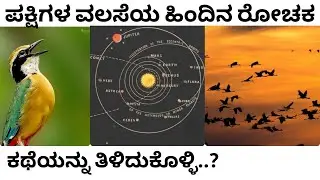 Story of migratory birds explained in kannada| Indian pitta|