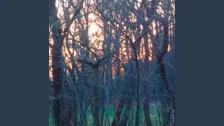 Aa