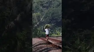This is Common on Indonesian Rural Railways  #railway #indonesianrailways #railfans #train