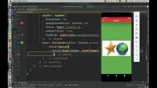 Flutter   Adding Images sample 1