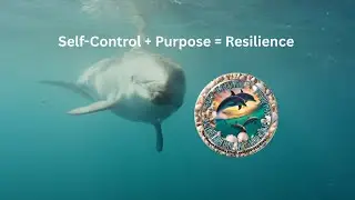 Character Equation #9 Self Control + Purpose = Resilience