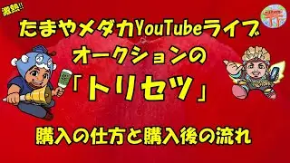 たまやライブオークションのトリセツ