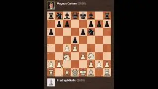 Magnus Carlsen vs Predrag Nikolic