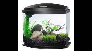$100 Budget Fish Tank Challenge (all through Amazon)