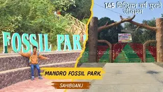 Mandro fossil park sahibganj jharkhand