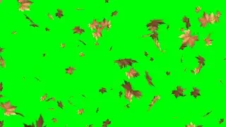 Autumn Leaves Falling Effects Green Screen Animation HD