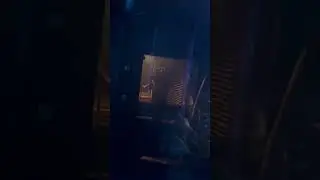 The Official Overdose