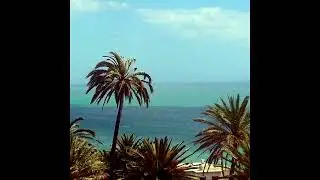 (FREE) TIF X Hamza Type Beat ~ hawaï