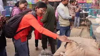 Sonepur Mela - Asia's largest cattle fair