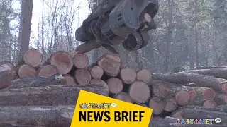Wildfire mitigation project