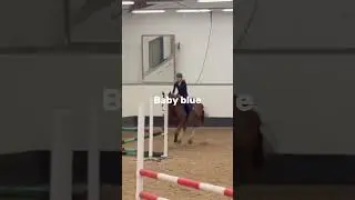 Your fav color your horse fail pt.2 #horse #equestrian #fail #fall #showjumping 