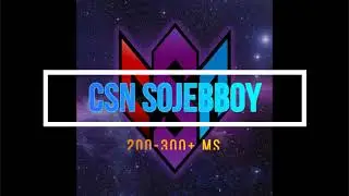 Sojebboy 200-300ms Rules of survival (CSN)