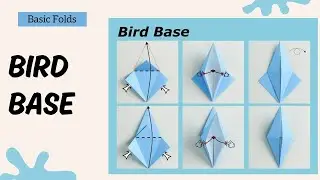 How to Make a Bird Base