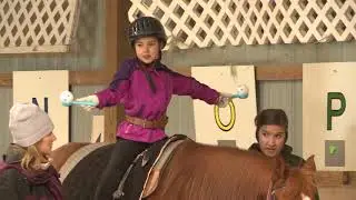 Hippotherapy: Using Equine Movement in Clinical Practice // Chapter 4, Therapy Sessions
