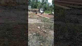 #loggingtruck #loggingberau#logging #loggingkayu#loggingequipment #operatorindonesia #tambangbatubar