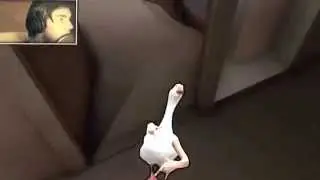 Pewdiepie funny vid duck song!