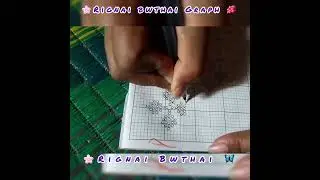 Rignai Bwthai Graph || #tripura #traditional #rignai #bwthai