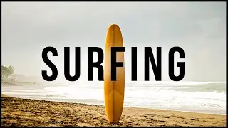 SURFING | Quiz, Fun Facts, Lingo, & My Surf Experience in Tofino, BC :) #surfing #surflife #tofino