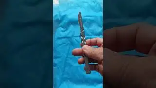 Как дословно переводится с латинского языка 