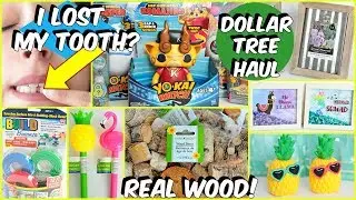 DOLLAR TREE HAUL MARCH 2019 MUST SEE NEW ITEMS