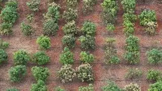 WATER VIEW ONE ACRE FARM HOUSE PLOTS & MANAGED ORGANIC FARM PROJECT. ONE ACRE ₹ 54,00,000.00/-