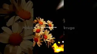 This Song 🙌❤️#telugusongs #teluguedits #nini #lovesong #statusvideo #viralvideo
