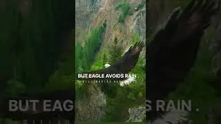 Eagle flying above the clouds 👑.#attitude. #whatsapp status. billionaire #shorts 😈🔥...
