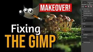 The Gimp but Better! UI tweaks for Linux GNU image manipulator