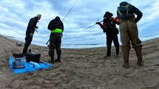 Catch Sea Bass Fish-Japan Fishing Adventure 