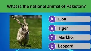 13 Amazing General Knowledge Questions | Test Your Brain | Brain Vault