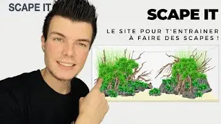AQUASCAPING: SCAPE IT Le site pour t'entrainer &agrave; faires des scapes !