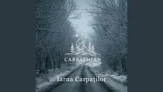 Ultima Dată c&acirc;nd a Nins așa