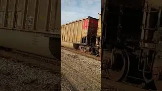 BNSF train in beardstown caught by chance. Didn't have to wait at all