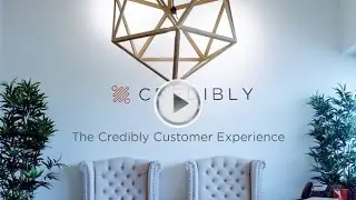 What Customer Experience Means to Credibly