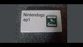 A rocky start to Nintendogs -nintendogs pt1