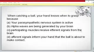MCQ Physical Education | CDP MCQ | PSTET 2023 | Full Marathon Course | Part 2