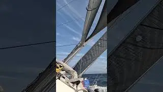 Regata bah&iacute;a de Pollen&ccedil;a 2024 Yrcus