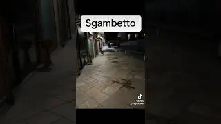 Sgambetto dal weimaraner