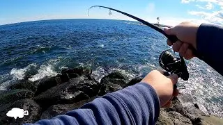 Big Offshore Storm Triggered Hot Tog Bite | Jetty Fishing for Tautog