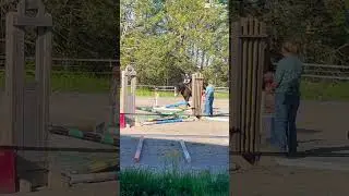 SHORTYYYY!!! WE ARE FINALLY JUMPING AGAIN!!!!