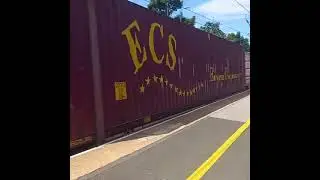 Class 66 DB Schenker flooring it past Cramlington
