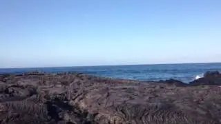 Natural Energy Lab whales