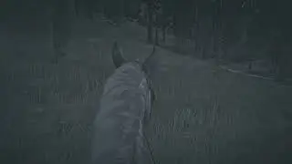 Red Dead Redemption 2 - Deep Playthrough 26 - 4k HDR Zero HUD Max Gfx 1st Person All Gold